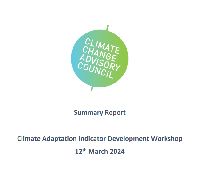 Adaptation Indicators workshop report